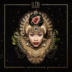 Elephant In The Room - Ludy