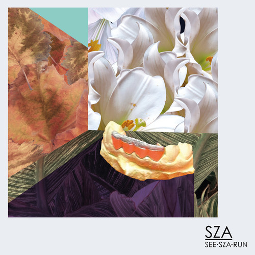 See.SZA.Run - SZA | MixtapeMonkey.com