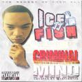 Criminal Mind - IceJJFish