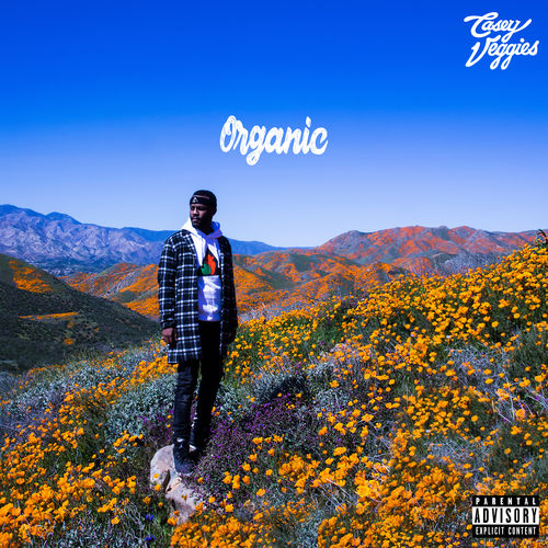 Organic - Casey Veggies | MixtapeMonkey.com