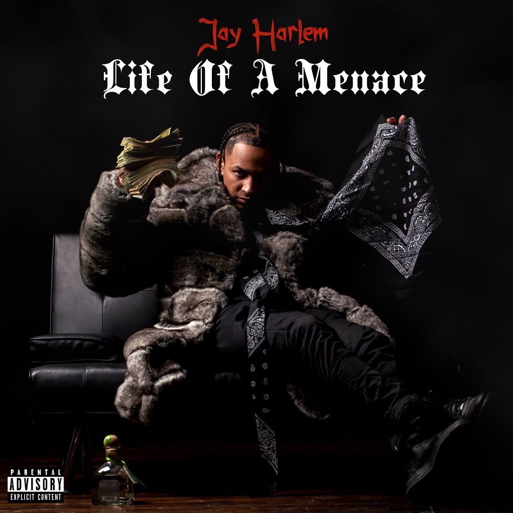 Life Of A Menace - Jay Harlem | MixtapeMonkey.com