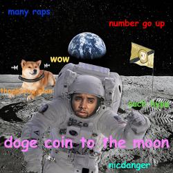 doge to the moon - NicDanger