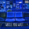 While You Wait... - Sir Michael Rocks